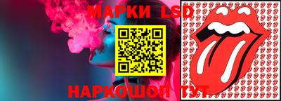 мяу мяу мука Гатчина
