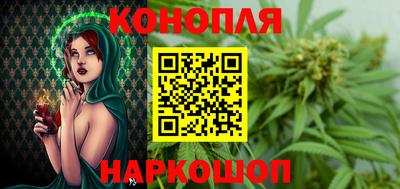 мяу мяу мука Гатчина